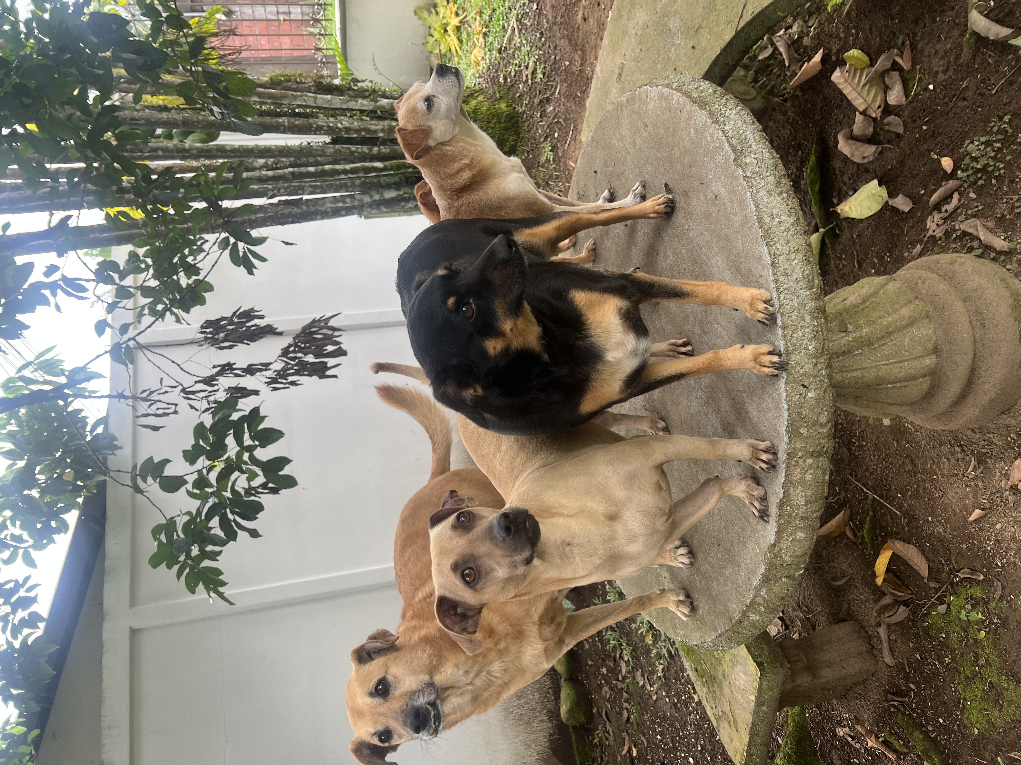 Fiorella Rivera - entorno