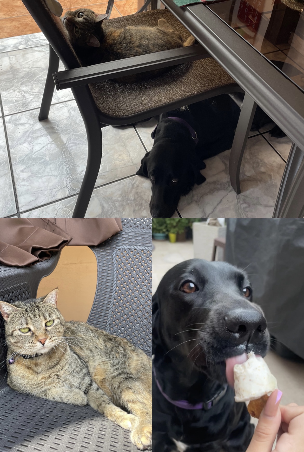 Isabella Calderón Tenorio - entorno