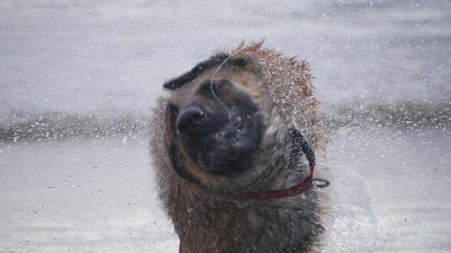 Jorge Sandoval - entorno